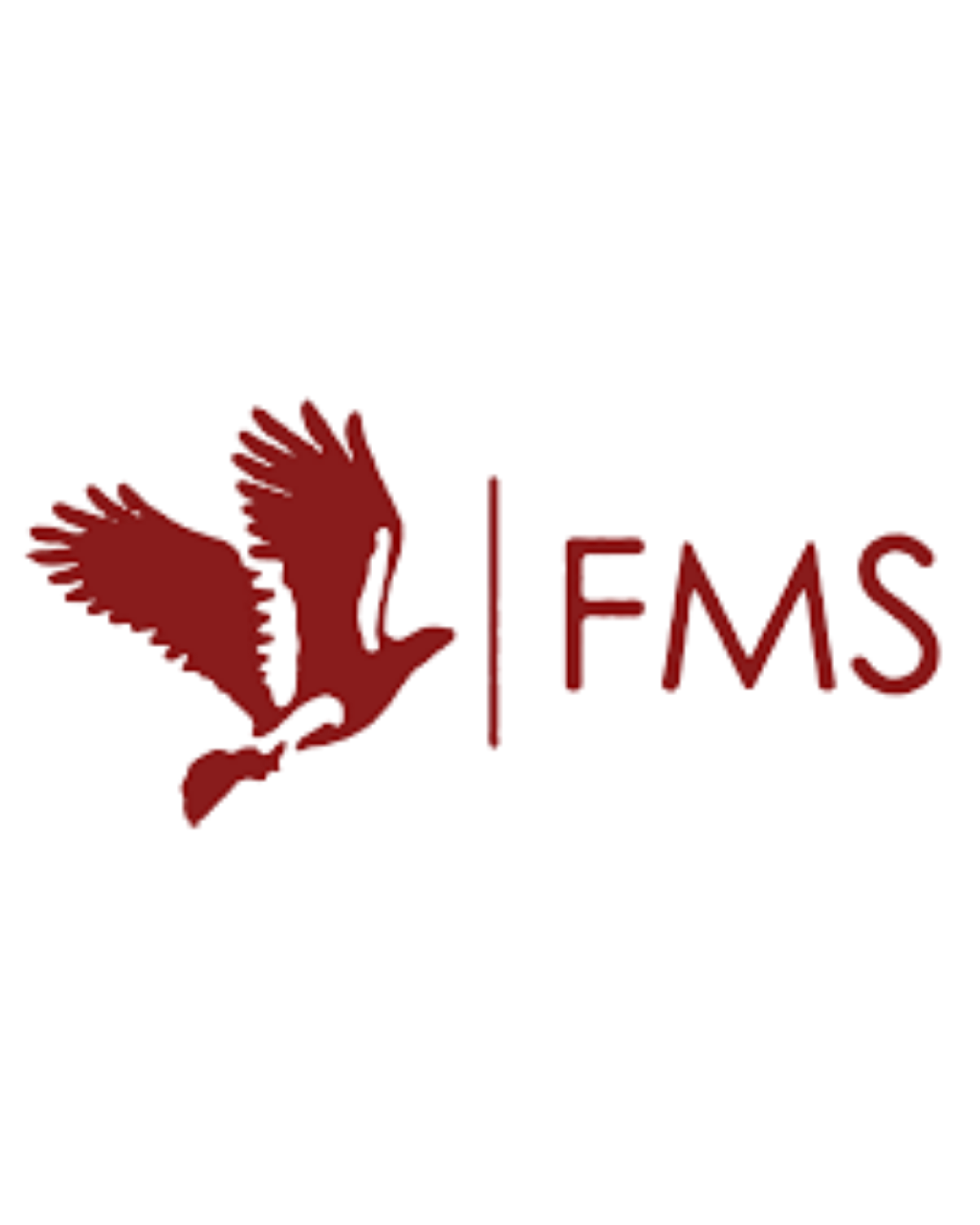 FMS Delhi logo